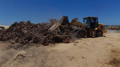 رئيس مدينة العريش: إزالة مفحمة جنوب السمران بالعريش 