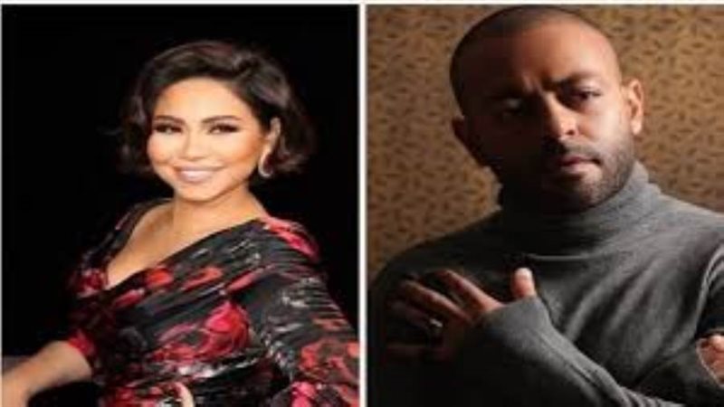 الفنان تامر عاشور