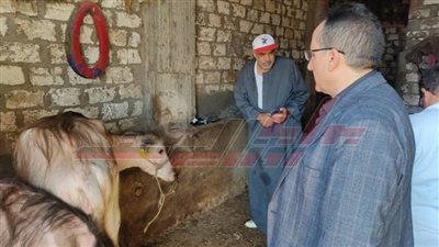 تحصين 96 ألف رأس ماشية وضبط 11 طنا و780 كيلو لحوم بكفر الشيخ