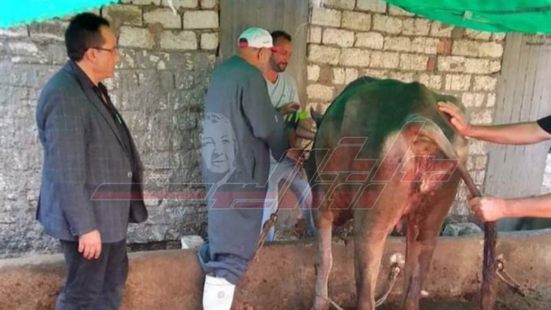 تحصين المواشي