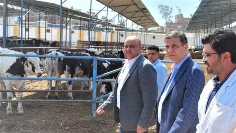 التوسع ودعم مشروعات