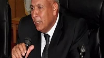 محافظ الوادي الجديد يوجه بحظر حرق المخلفات الزراعية داخل المزارع 