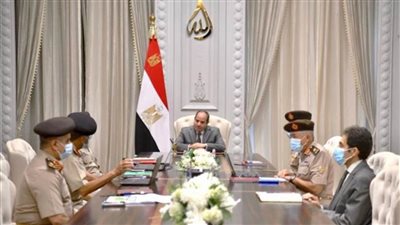 الرئيس السيسي يتابع مشروعات استصلاح الأراضي بتوشكي