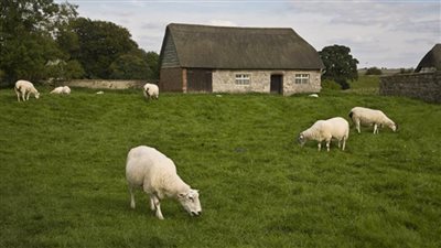 ارتفاع ظاهرة السرقة في الريف البريطاني مرتبط بأزمة غلاء المعيشة