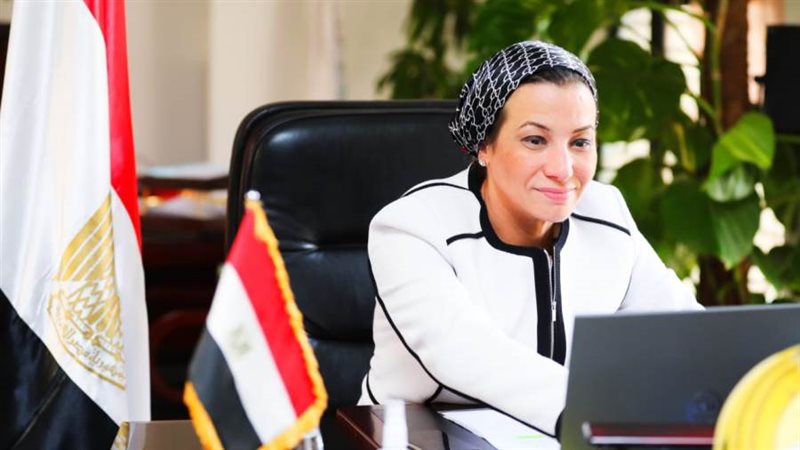 الدكتورة ياسمين فؤاد