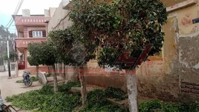 استمرار الأعمال الميدانية وصيانة أعمدة الإنارة بكفر الشيخ