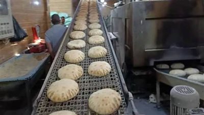 تحرير١٤محضرا ضد مخابز بلدية وغلق مخبز فى حملة مكبرة بالبحيرة 