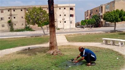 الوحدة المحلية لمركز ومدينة القنطرة شرق تواصل أعمال النظافة والتشجير 