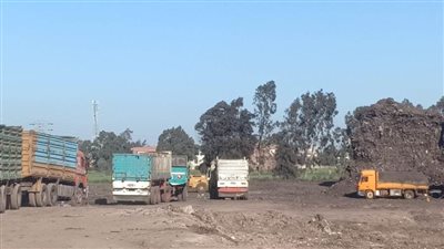 بتكلفة 25 مليونًا.. انتهاء نقل مقلب القمامة العشوائي بمنية النصر