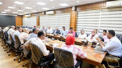 محافظ الدقهلية يناقش تفاصيل إدخال المرافق لـ3 مناطق بالمنصورة 