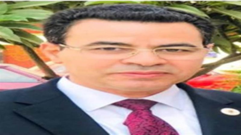 محمود عبد العاطي