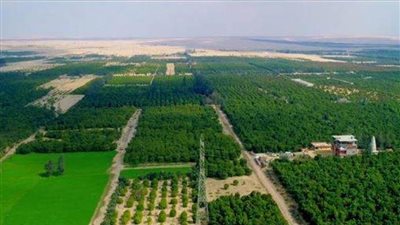 شاهد بالصور.. مشروعات الأمن الغذائي في شتى أنحاء الجمهورية 