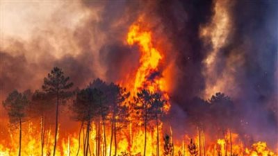 التشيك تعلن قرب السيطرة الكاملة على حرائق الغابات