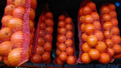 (لا تريبيون): أطنان من البرتقال الجنوب إفريقي عالقة في الموانئ الأوروبية