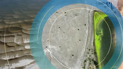 المفوضية الأوروبية: ما يقرب من نصف دول الاتحاد الأوروبي تعاني من الجفاف