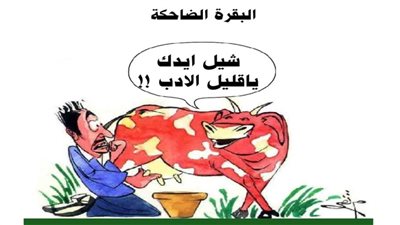 يوميات صميدة وحمدان