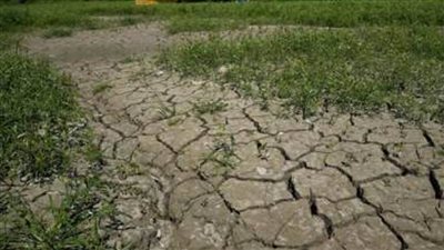 المرصد الأوروبي لمراقبة الجفاف: قرابة ثلثي القارة العجوز عُرضة لتهديد الجفاف