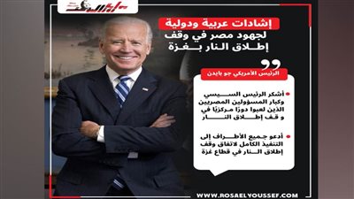 إشادة عربية ودولية لجهود مصر في وقف إطلاق النار في غزة