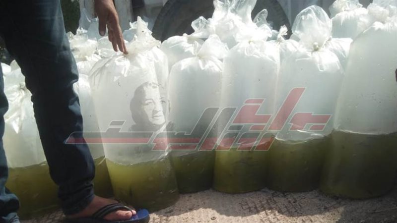 الزريعة المضبوطة