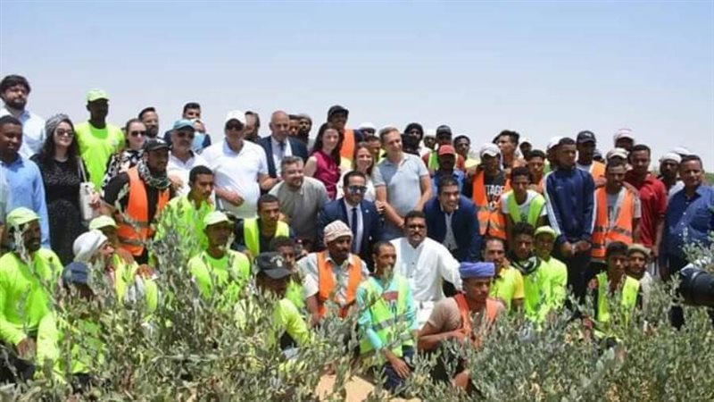 محافظ الوادى الجديد