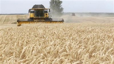 الأمم المتحدة تتوقع زيادة صادرات الحبوب من أوكرانيا