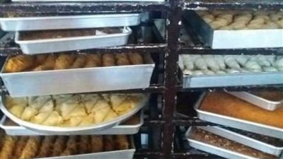 غلق 3 معامل تحاليل و16 منشأة غذائية بحملة تفتيشية بالشرقية 