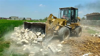 إزالة 66 حالة تعدٍ على الأراضي الزراعية وأملاك الدولة بالبحيرة