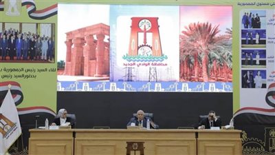 محافظ الوادي الجديد يعقد اجتماعًا عاجلًا لبحث خطة ترشيد استهلاك الكهرباء 