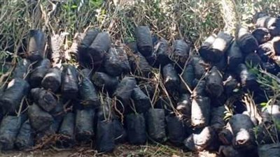 محافظ الشرقية يعلن بدء تنفيذ مبادرة زراعة 100 مليون شجرة 