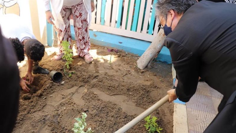 سفير اليابان يزرع