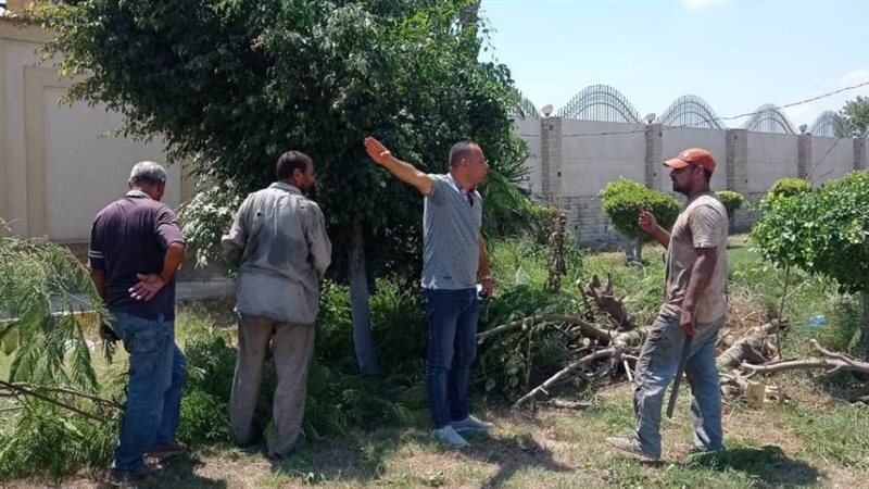 تشجير المحاور والرفع