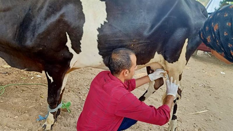 قوافل بيطرية