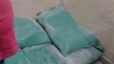 تموين المنتزه بالإسكندرية تضبط دقيقًا بلديًا داخل أحد المخابز السياحية