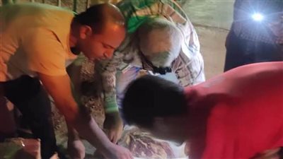 ضبط كميات من اللحوم الحمراء غير صالحة للاستهلاك الآدمي 