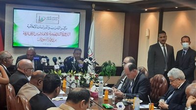 بحضور وزير الخارجية.. الأعلى للإعلام يطلق أكبر برنامج لتدريب الإعلاميين الأفارقة