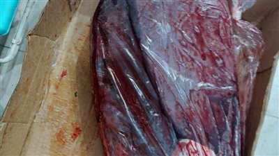 تحرير 24 محضرًا وضبط طن مضبوطات متنوعة غير صالحة في 13 حملة بيطرية بأسيوط