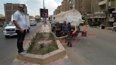 تطوير الميادين وزراعة الأشجار بطرق وميادين كفر الشيخ