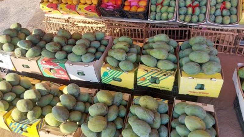 المانجو الإسمعلاوي