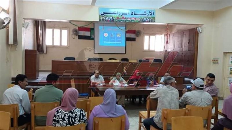 الدورات التدريبية