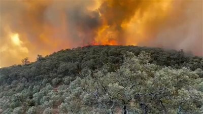 مقتل 3 رجال إطفاء خلال مكافحة حريق غابات بالمغرب