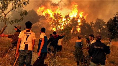 الجزائر: اندلاع 10 حرائق في 7 ولايات وتكثيف الجهود لإخمادها