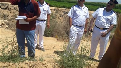 استمرار حملات إزالة التعديات على أراضي الدولة بمحافظة الإسكندرية 