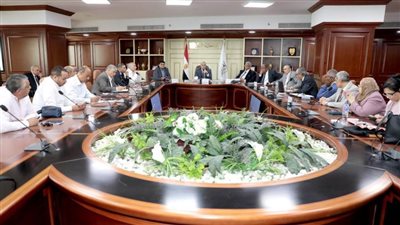 محافظ بني سويف يناقش مع رئيس هيئة التخطيط العمراني التكامل العمراني