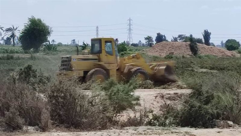 استمرار الحملات وإزالة