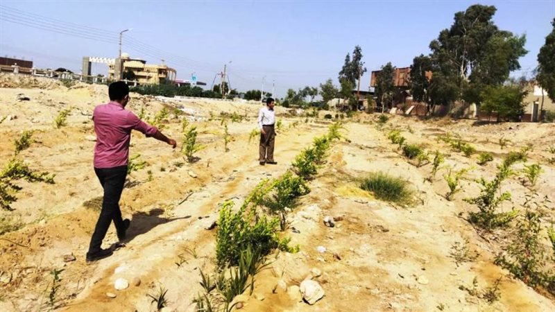 جانب من الزراعة