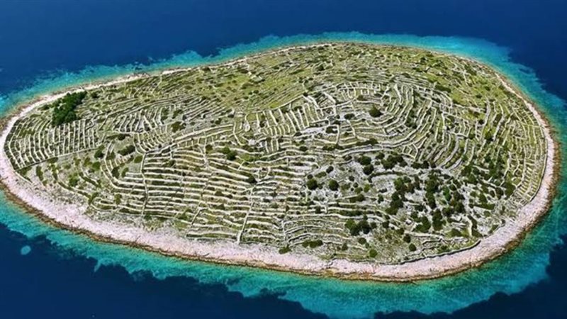 جزيرة بالجيناك