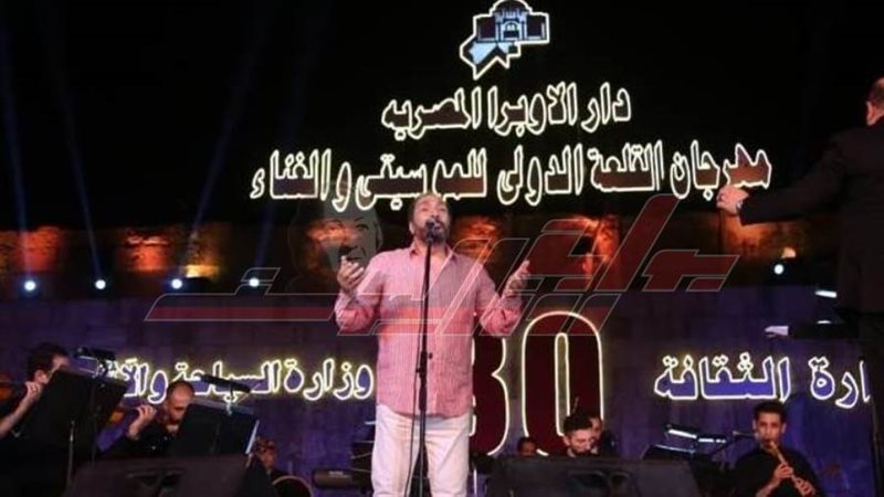 الفنان على الحجار