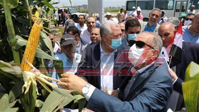 إطلاق فعاليات يوم الحقل السنوي لمحصولي الذرة الشامية والأرز بمحطة بحوث سخا