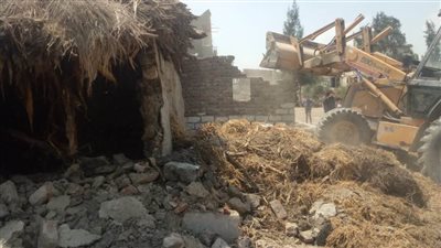 الموجة 20 لإزالة التعديات.. إزالة 41 حالة تعدٍ على الأراضي الزراعية وأملاك الدولة بالبحيرة