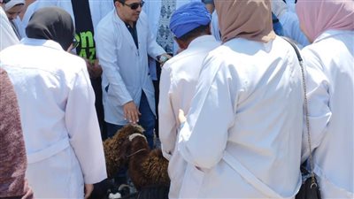 حياة كريمة.. الكشف على ٧٧٣ مواطنا في قافلة تنموية بقرية بلقطر بالبحيرة